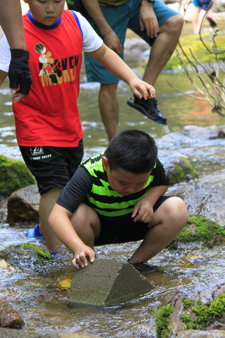 -Tlu2ExlSPg5L27rnk8aE9FU3OJtss7tSNyrCY2j5TpvrvvbCfef7tK9z6GIzLYi