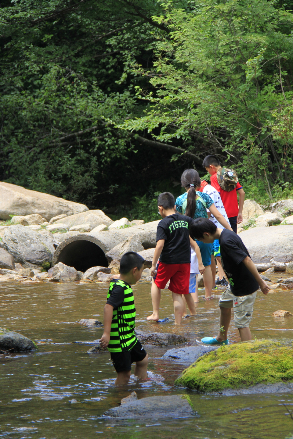 1_WN9l3Htvmf-fizaSeYVPjZ9UQvfgFuk0DrgN5fqAouvpGblhZnNkH9oXERGAFa