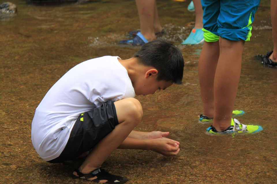 1_WN9l3Htvmf-fizaSeYVIC8JS6RTGiz-AYgT_RdV9RLL1oO_7B84dKfyc_qNm70