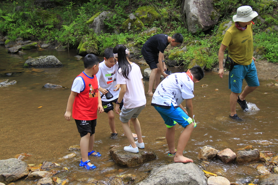 1_WN9l3Htvmf-fizaSeYVP4upJ4edvNUkAgZQbpIanDZF2MgSKJhPR2bxxCmSfLo