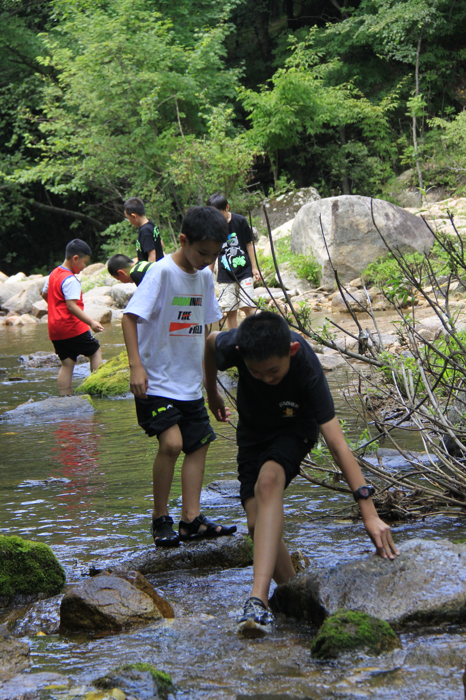 1_WN9l3Htvmf-fizaSeYVMH7n9S-NNV3Cd_Olkd16xFlWxnHniy_RnGJdLTM84PX