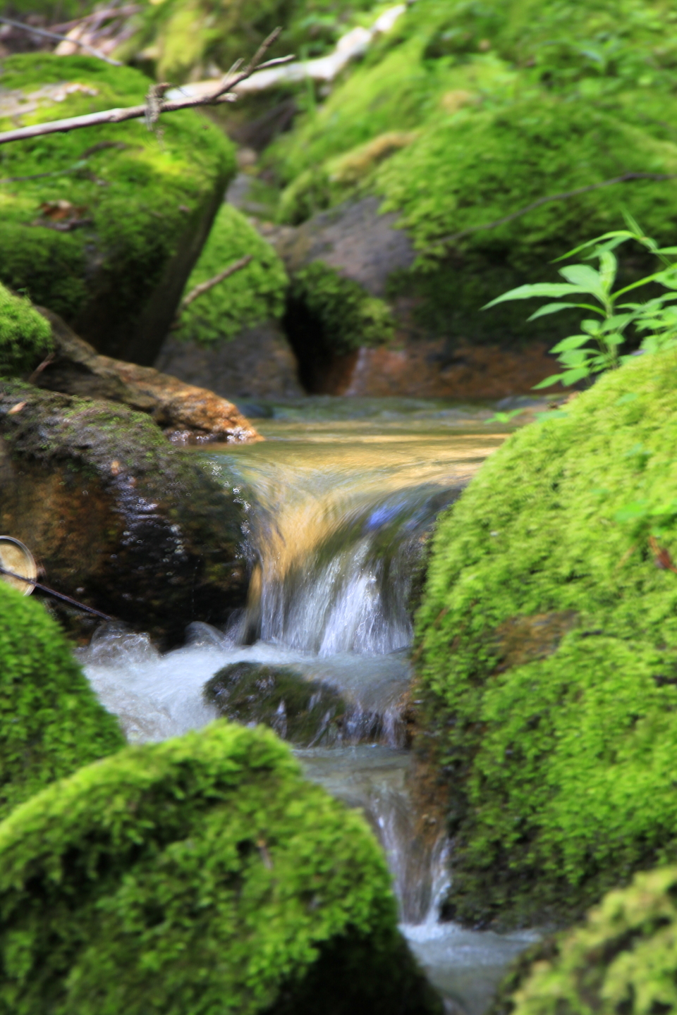 J80gxcvKbm5MXyz_sk5ZvsmknokTJ9N7HOwzwLU-Mppj24kACi0cDoCwgnIP68fo