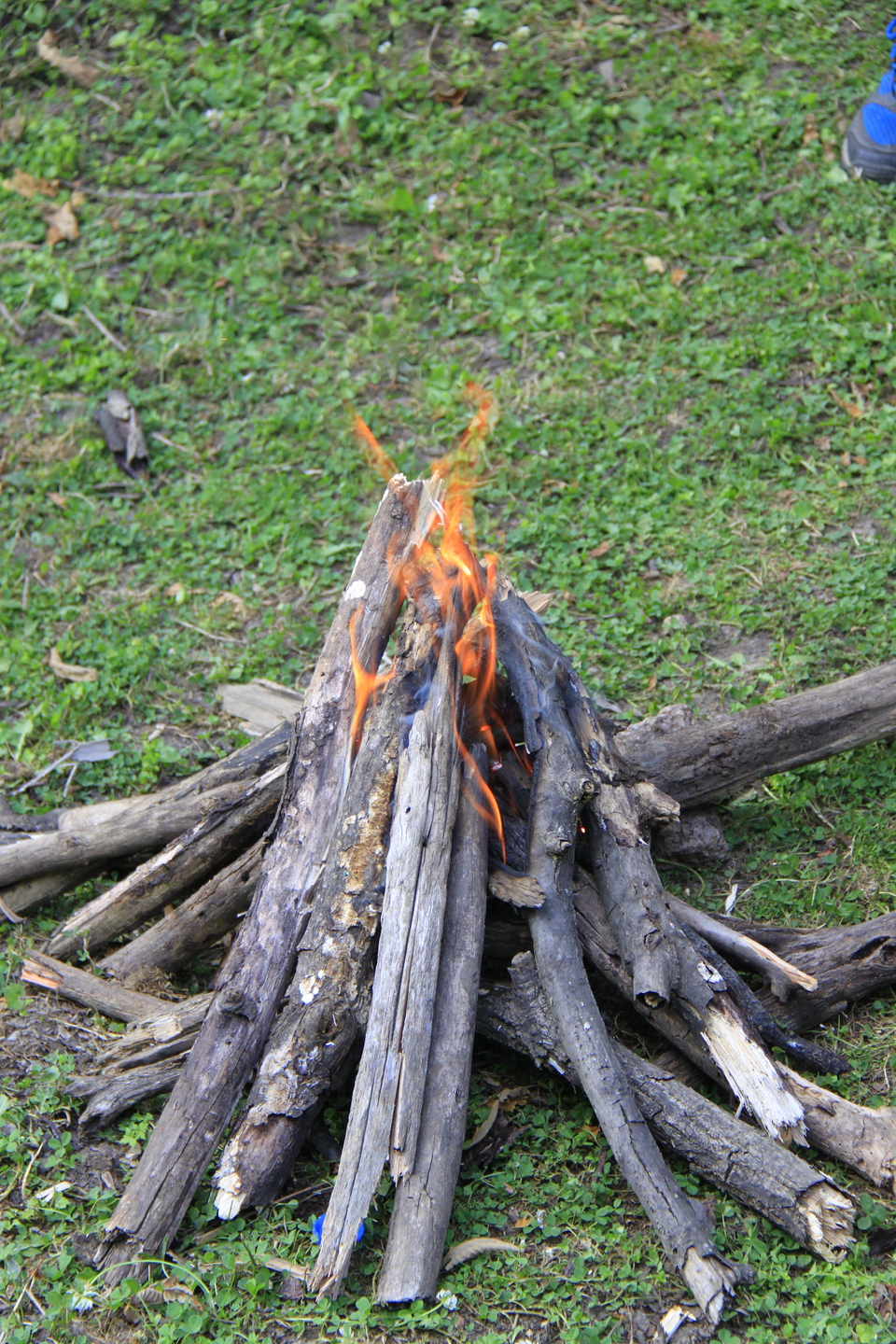 J80gxcvKbm5MXyz_sk5Zvqxgd3AeL0X27RAbOtwmP3h0NM7JAMNx0ZQG0zm_jnwY