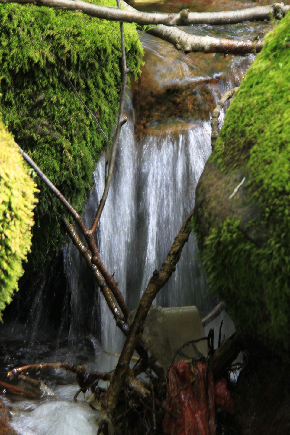 J80gxcvKbm5MXyz_sk5ZvsjTfWOxbyaUkhLmR6nM0TwVZZmdJdsYBzDsCGgbBoNf