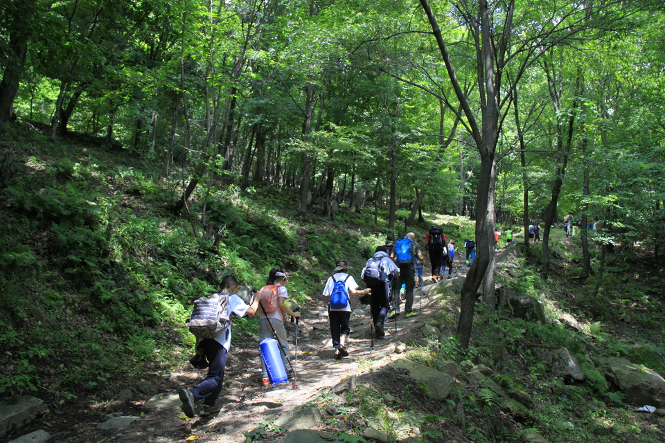 AGvviOg_f8WdLEE17uh5y3imr6yCQLrL1lGPD25Rx5t0AryVawRQ1ROlwJesxVFR