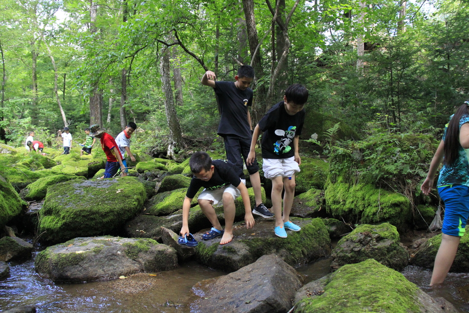 AGvviOg_f8WdLEE17uh5y7fTUfFsU86_QO1FKnXgpLySUEkJhn-k3FaNM7dlVDL-