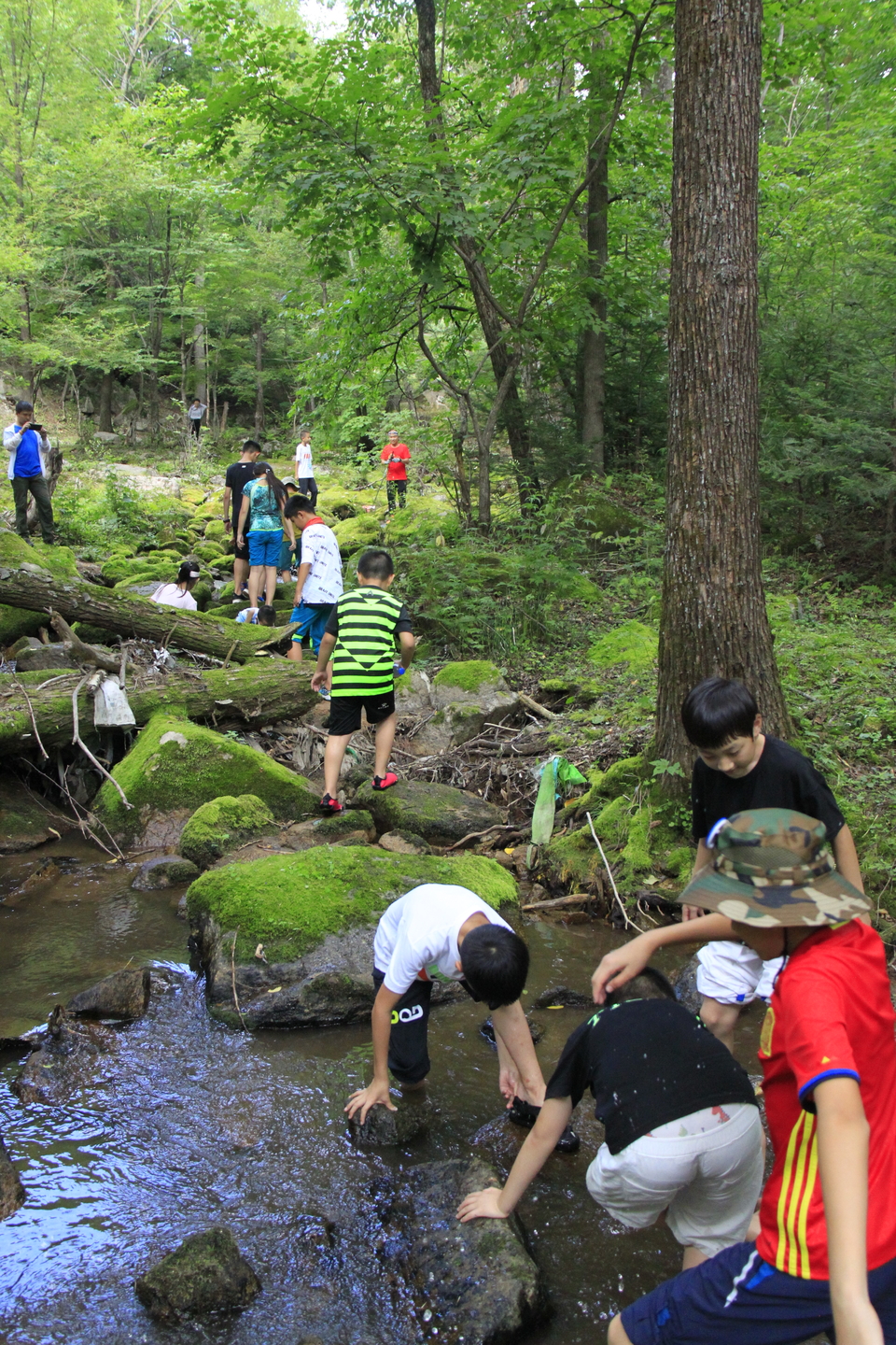 AGvviOg_f8WdLEE17uh5y19VXCTdNBMjTWEx-jlXqgzyJW-H0Aw5TEHMosf8cM-A