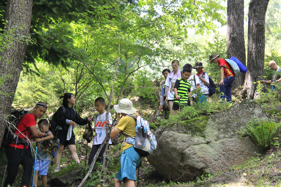 9OFKJIP9v6exICFsBZS9DMsM7M6oJbv2tAh5SHEAlFc3lzqoVywHPo5qfE3TjVOn