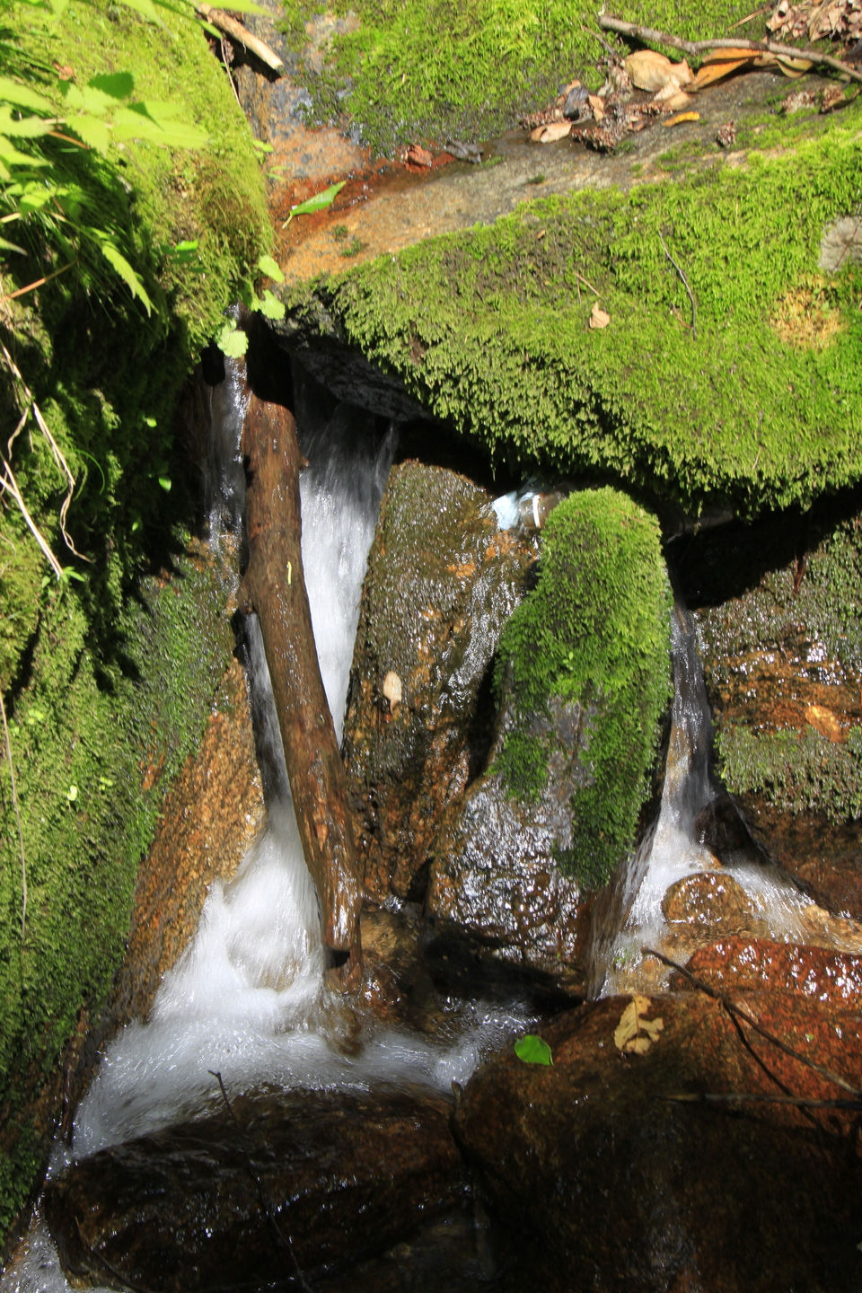 9OFKJIP9v6exICFsBZS9DMx4a2D4EgoNhkC5hrSUi2y3-uUZ-hC0PuZiKuUQcMpU