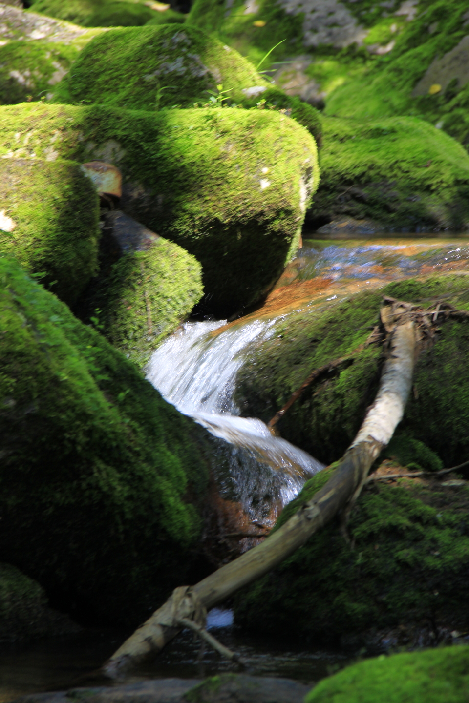 9OFKJIP9v6exICFsBZS9DL89wgNGbGREd6W5AAJczjOrZZGZ6y3f5vSsqrNc_8nj