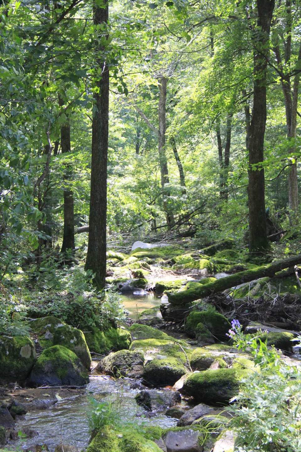 XWwuXi0g8kQjDlPzV6lVwIHdFj3OTFW5MmvRfDp7ILQDpHOHZmRspc4RR821hgT4