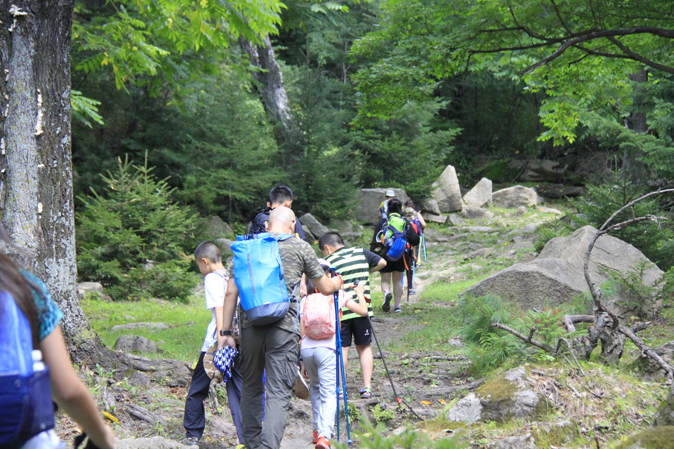 VsPMSMwgw4dHFBa4omUZ_6p_hbYnmrg_6VAne5o89DrSWIkrYpl1EHLccw8VThsS