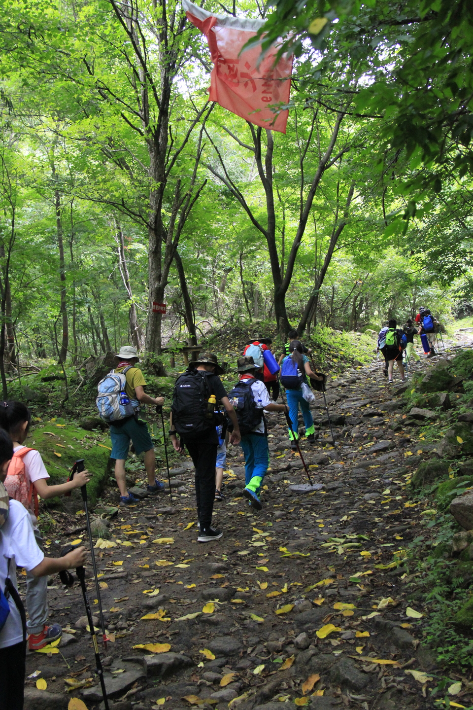 J2oxMUVigHTvSGdF9cX1HFWqJIoEhF7vXRLSddL-KtPAqbGs-yuyfSiBmcLR3nhJ