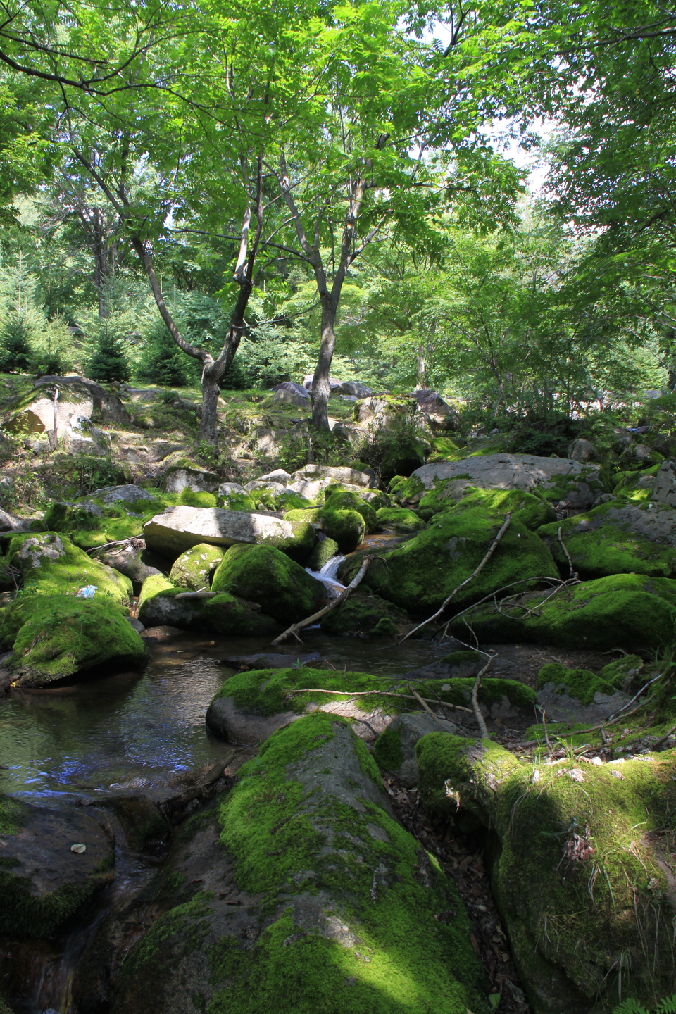 J2oxMUVigHTvSGdF9cX1HG3ry5pmg0gy4VuYQEX-xBO5OmJNBYZ6ygFKIlJ4ctQm