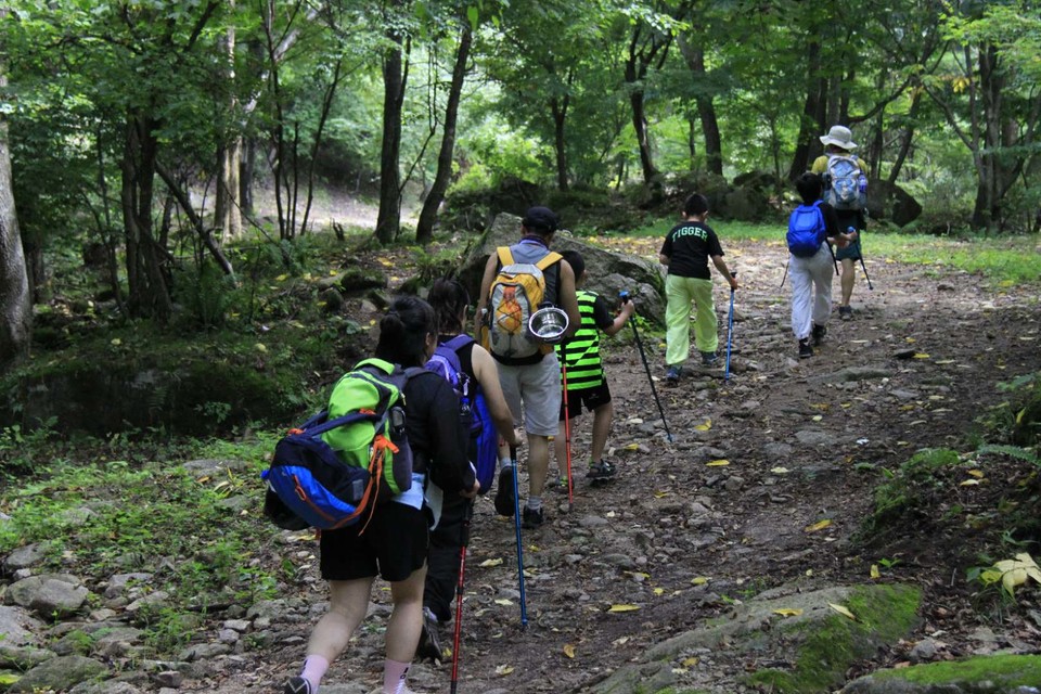 TO1hMzJnPs3TphMoMZseqFYGterjXNYEmVjXc_IVqgK1enVe-TacjHal9wNnlE7p