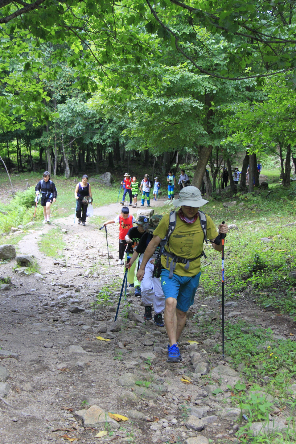 TO1hMzJnPs3TphMoMZseqLbjZohoqSgToYrRKHalwNplpdGQpBtrlQeaRCElpMnI