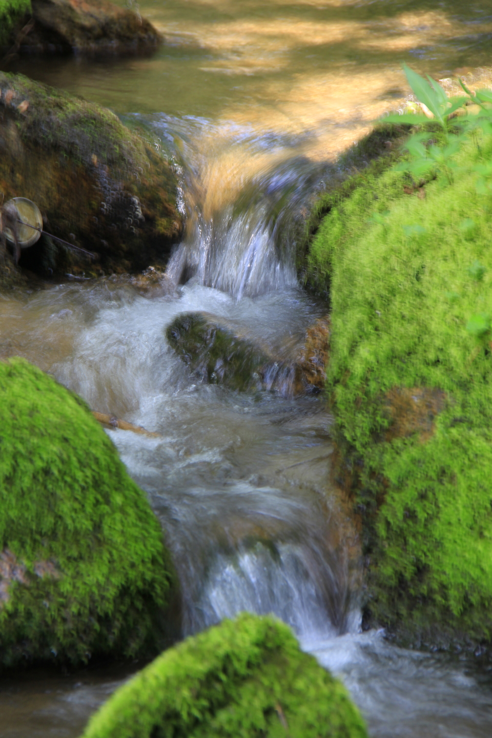 TO1hMzJnPs3TphMoMZseqDOp7EGvDbRCnvqm2xXfndqbaEsaxuJOTqbJmqR0l8Tv