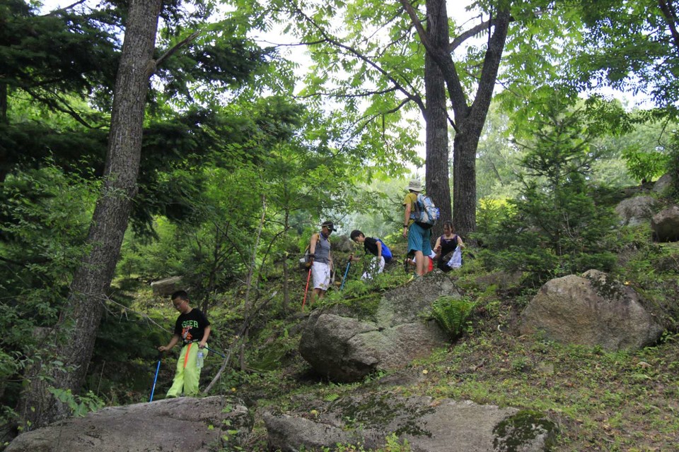 TO1hMzJnPs3TphMoMZseqN8sikYn0c3R_F9KKJ-RzX-T1ZSkynHWvk4ELUgjsTYN