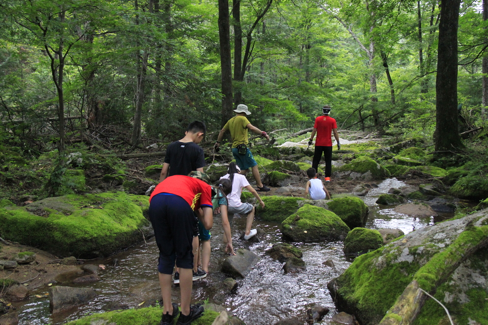 mpRKMeN5lVGpkJYZhI5yBlXr3vanS1r7kZS2K8j7VcmAgtAplKVC4wO_TVJB2J09