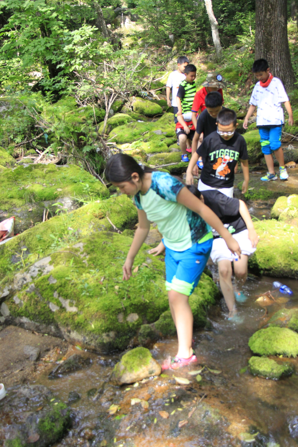 mpRKMeN5lVGpkJYZhI5yBqMnynrZ86fQ1FXOZXMdVOJt-GIHlttSgpUYp0wfJR4D