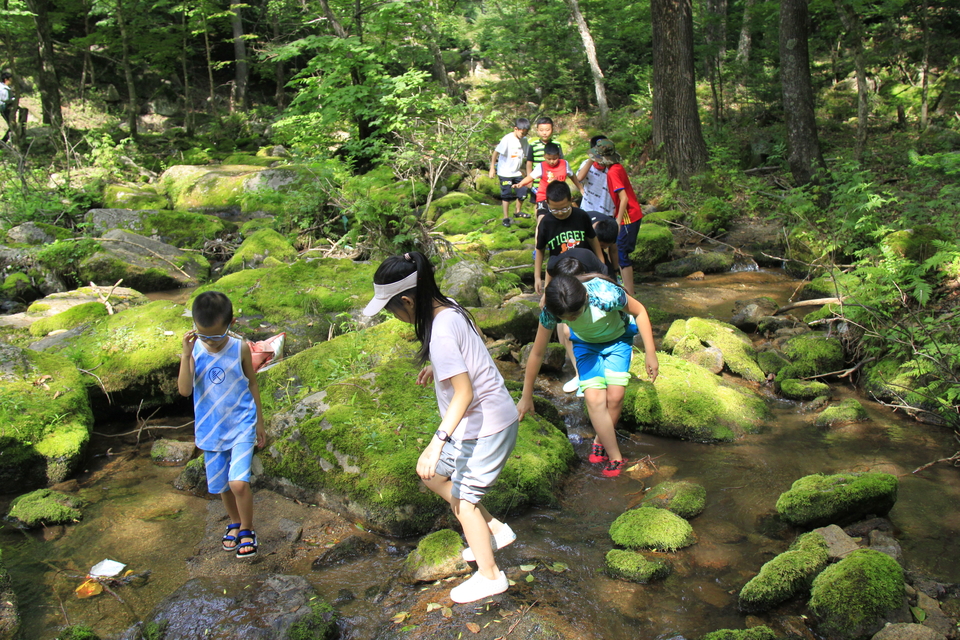 mpRKMeN5lVGpkJYZhI5yBh7ipZI_JUvFC0tilyQTaDX0AJdmpCYhtX8ZqvQfrIO1