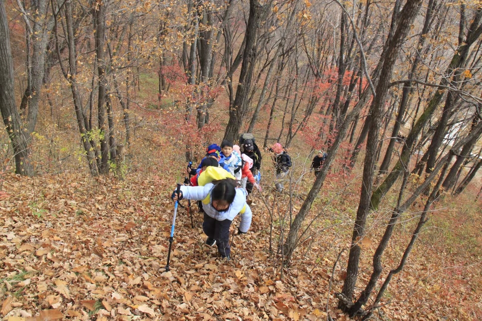 bNgs8zq8qaWNud76YhWb99WCqQ61X_P13jTfp9K5jwX7JUMKjDs4DN0wiA7y7jpA