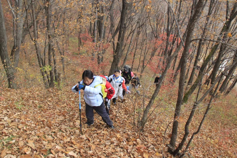 bNgs8zq8qaWNud76YhWb95_hYn6Kc10oONIyPp70Oq6yTSOy0zPovCvCbVCV5d5y