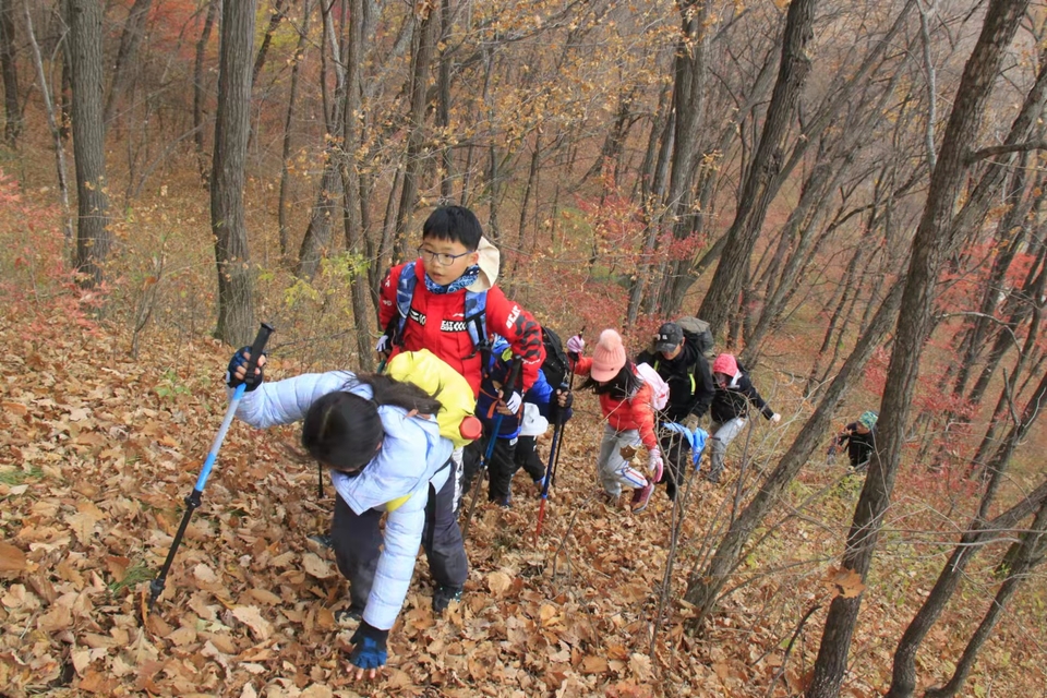 bNgs8zq8qaWNud76YhWb9-a563Q-VGaIBB18uPPKuSnYiYrjCSYd0-mOfna2E8fd