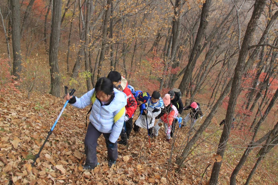 bNgs8zq8qaWNud76YhWb927bC1gGNjhONEm-wbpHGX7BKNDfKUlMzqLO7VKsDGbO