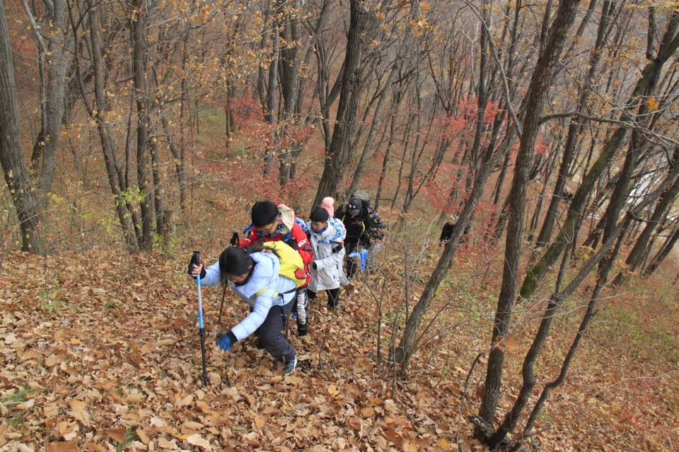 bNgs8zq8qaWNud76YhWb95Xx5rMdtD6LVOZiU35rYUFBZIJBf-CS5O_reN9SwwBR