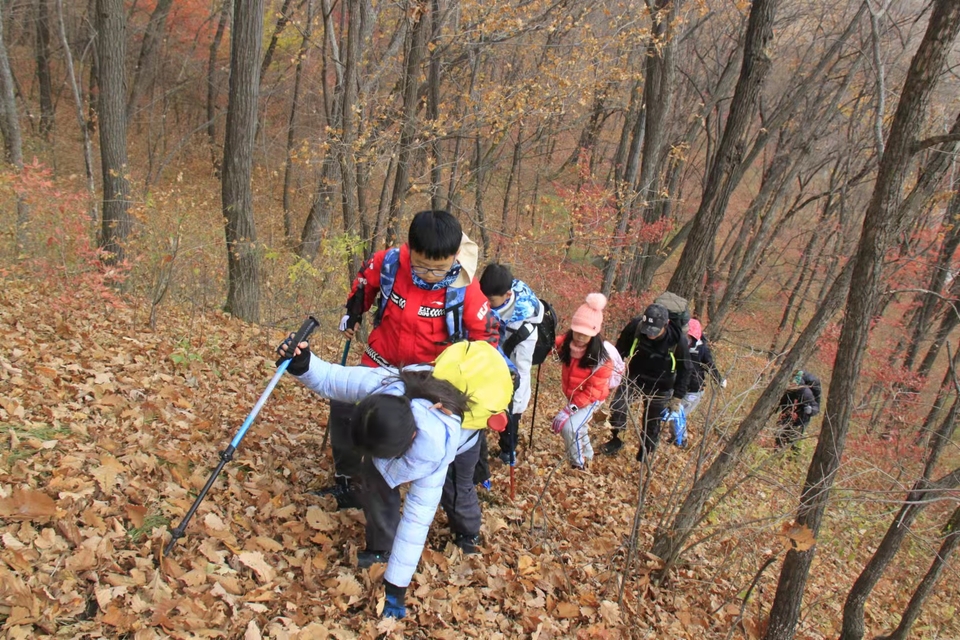 bNgs8zq8qaWNud76YhWb98Qph7gx7rruY0o5R2V-D7-EMBL711o88cx-4fNgJNMu