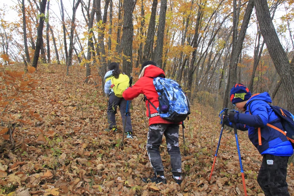 bNgs8zq8qaWNud76YhWb979Y3bi0vZoVAOcB2Lve2RVMuLLLOGbXjapWs5eavUQ3