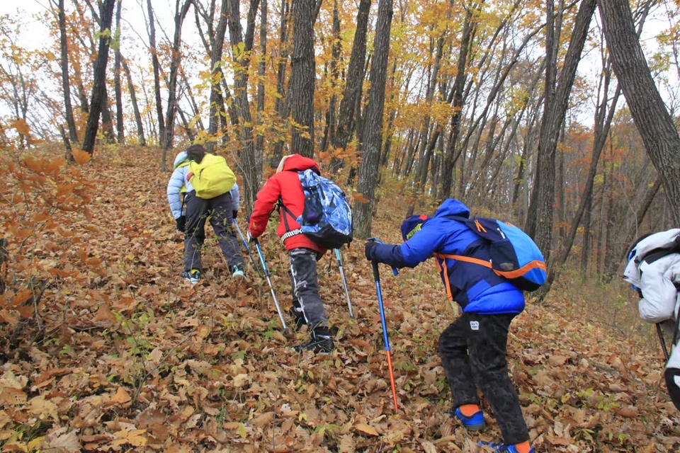 bNgs8zq8qaWNud76YhWb95mNrALKJ4yNABsQyhO_5cTNg5FW621ijsw0DvVFcWke