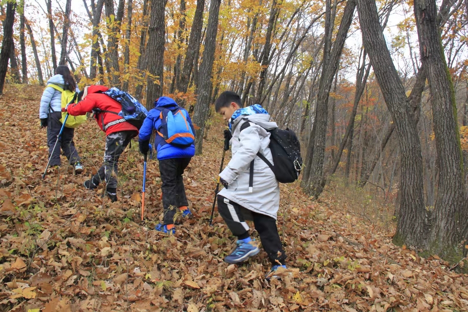 bNgs8zq8qaWNud76YhWb97CLkuDl-lmwAr-iV12sITMQSJIL_TnIgOItodoOvczu