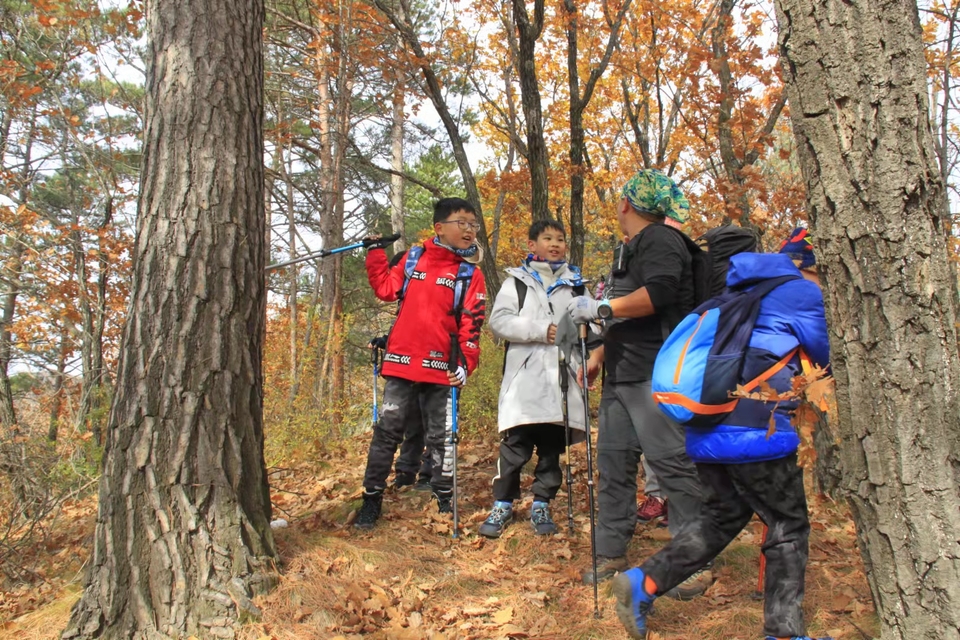 bNgs8zq8qaWNud76YhWb90kkYS7-2-1eCa5VZy8Kkus0DqSiyfwUB2U1Z3uqj_d6