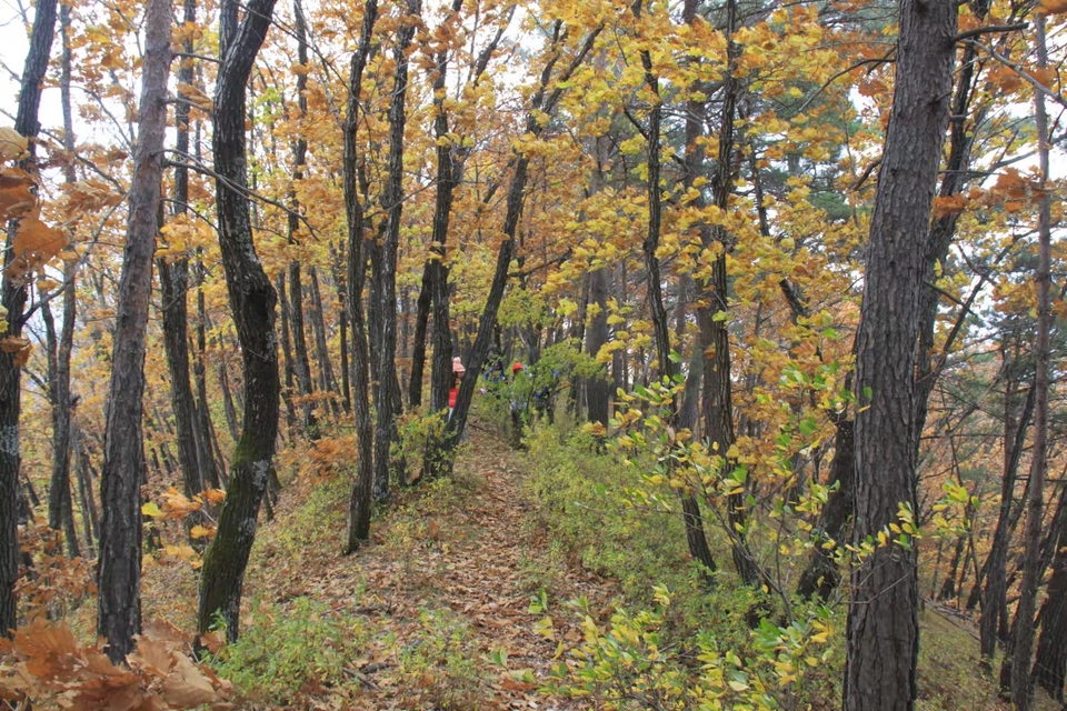 bNgs8zq8qaWNud76YhWb9-AwdsYuXgKwNfjl9_3EJpx9laZuN0Nm_4m-5_vFniMa