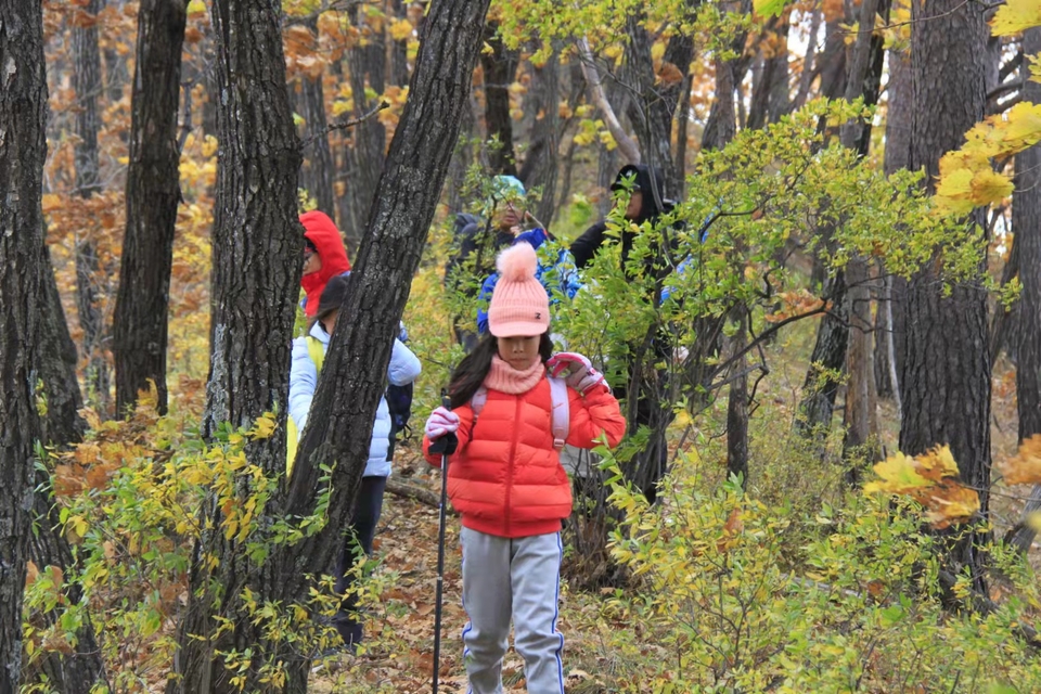 bNgs8zq8qaWNud76YhWb9xJmuzwW_idg1JXYp1OdnXItDLLa4rYaJPK8M1sQfV1u