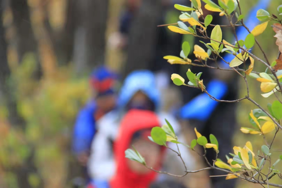 bNgs8zq8qaWNud76YhWb9_QXgXrgPmRrJ8HrqFcJkPnSkTW1W5J9CX2ohSq3BEgP