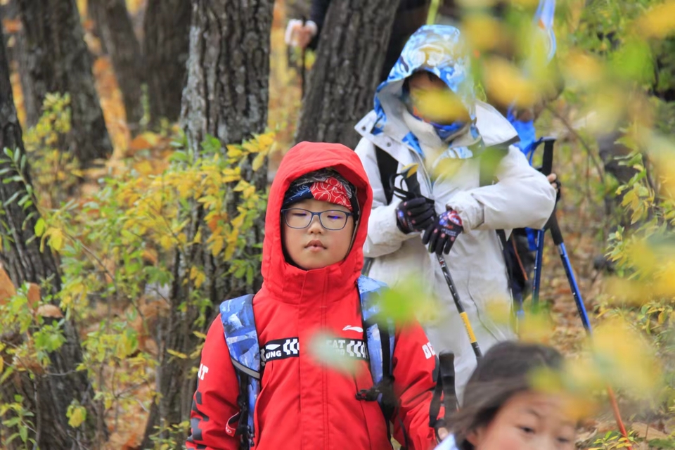 bNgs8zq8qaWNud76YhWb9_DPm731Ng2zuBQcqfWVD0HWlu_YghrDn_OGUkh-xD8a