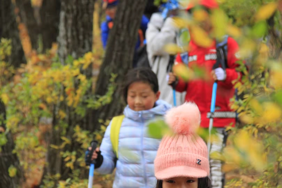 bNgs8zq8qaWNud76YhWb9_-rY1K0i76dgRu3ut6nk2VXeI1_HzyAcdWQ1BPZL-wq