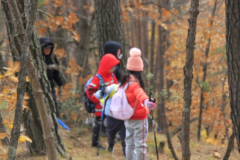 bNgs8zq8qaWNud76YhWb9zSDmIkKKcgycKyvjCdmei6a1TZ1DiN_ZAUQc3i5aupv