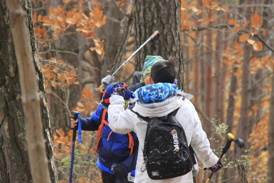 -zbDxKHu0WTNbPcIfmWPZgWn6pJrTfMOXcBzjT0FM8kHqrorSz8toq_yZW1-w2mL