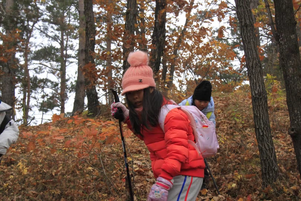 -zbDxKHu0WTNbPcIfmWPZkllJ7hhH8Iec9jnws_corwd5v6-2sBvGwDHuWyuRZ0A