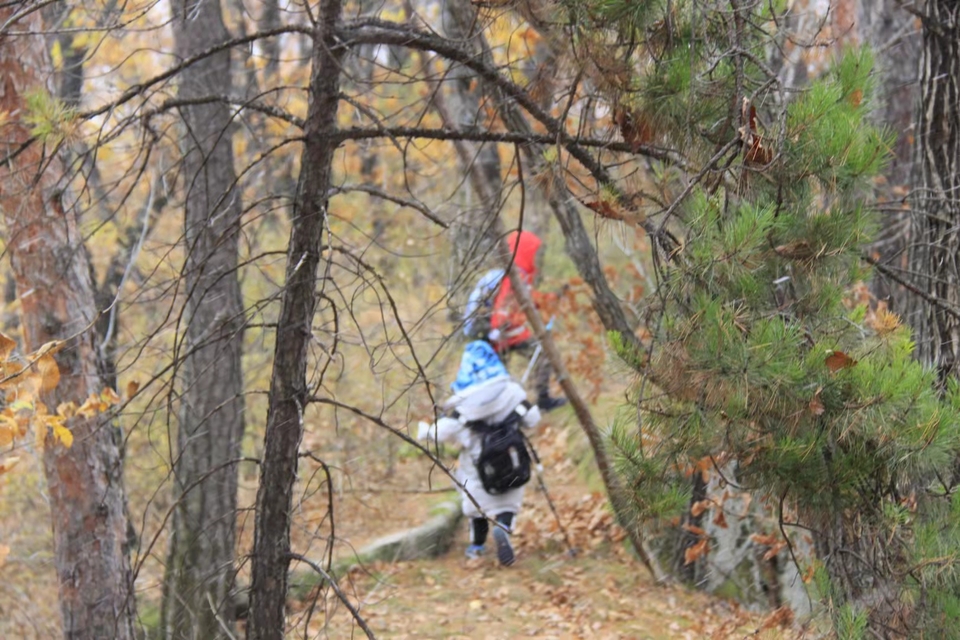 -zbDxKHu0WTNbPcIfmWPZkiGYc5mx2UT13MNFhvT_W5ZatB4JogtL50HVqciXIu4