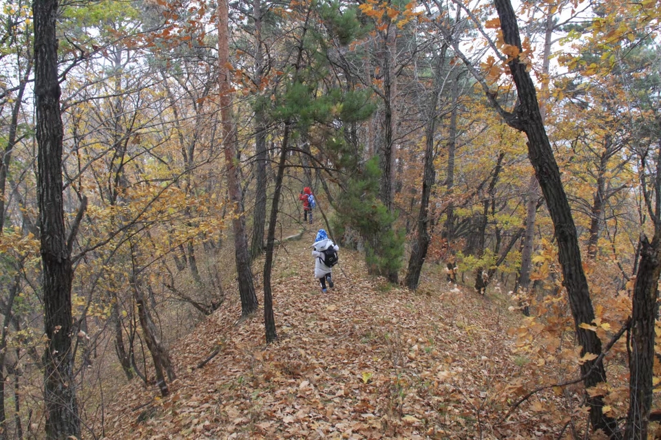 -zbDxKHu0WTNbPcIfmWPZtLafHSoZx5_TX5T_9_3qbN4Hz-VUTo6NgtVWB1bg37s