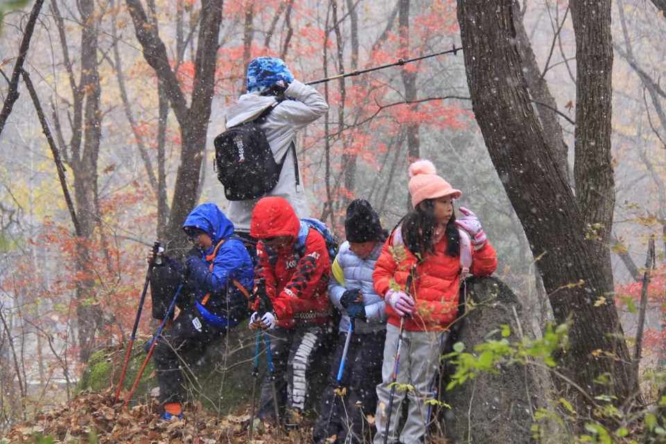 -zbDxKHu0WTNbPcIfmWPZkKfO3a23TupFBWzd8M1DGrBjNZgk_wb5wAVXjdxrz6C