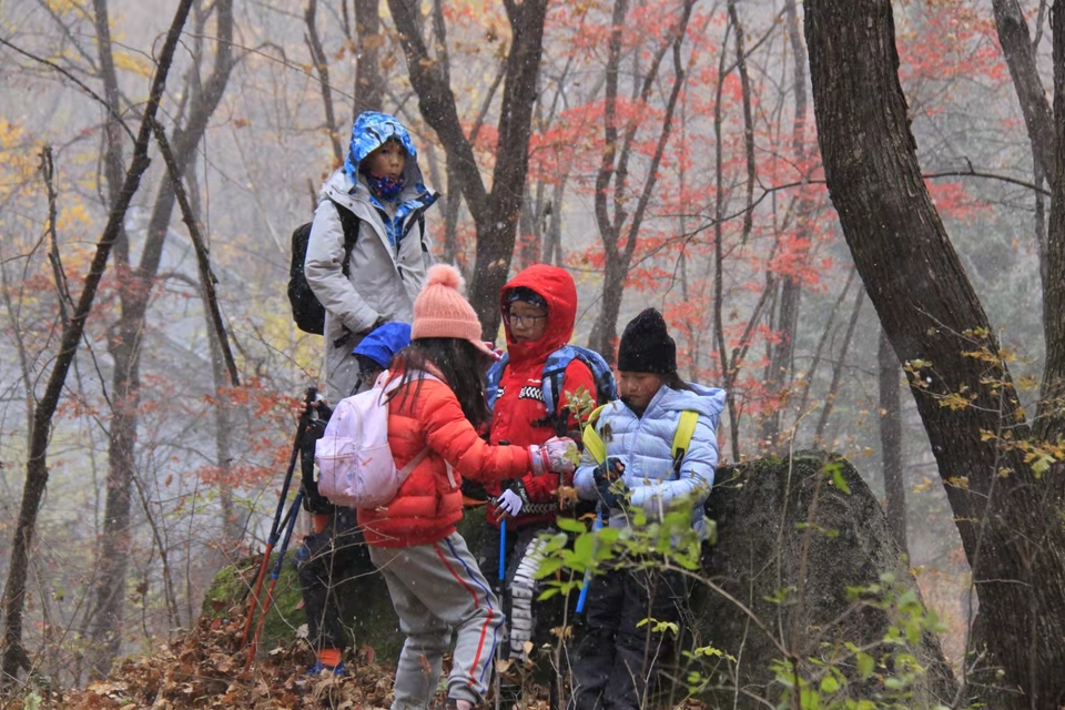 7Ds5-EJiG-vgslGw9C-3TP-HOtOwSaO0pMpmtm53H2L051gwAeQlDMj_g7oWClGO