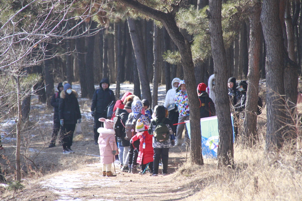 Ib37A-njq_tmce9CftHDaq93AFK1E3onn4irVEXBKxDC_-Sa3XpHAVPsocwNZNk2