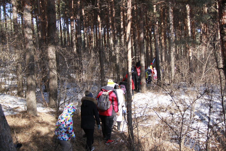 Ib37A-njq_tmce9CftHDatJLTChVGTe0E8mGzPNakwOxKMs7MHv4127Xp3c1BKVm