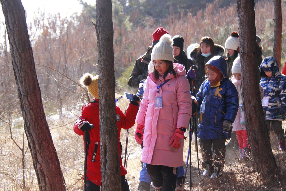 Ib37A-njq_tmce9CftHDalquOgeIuFjfTu9q6fbPIfaWVxvvqPS0dLhmKCotkpFA